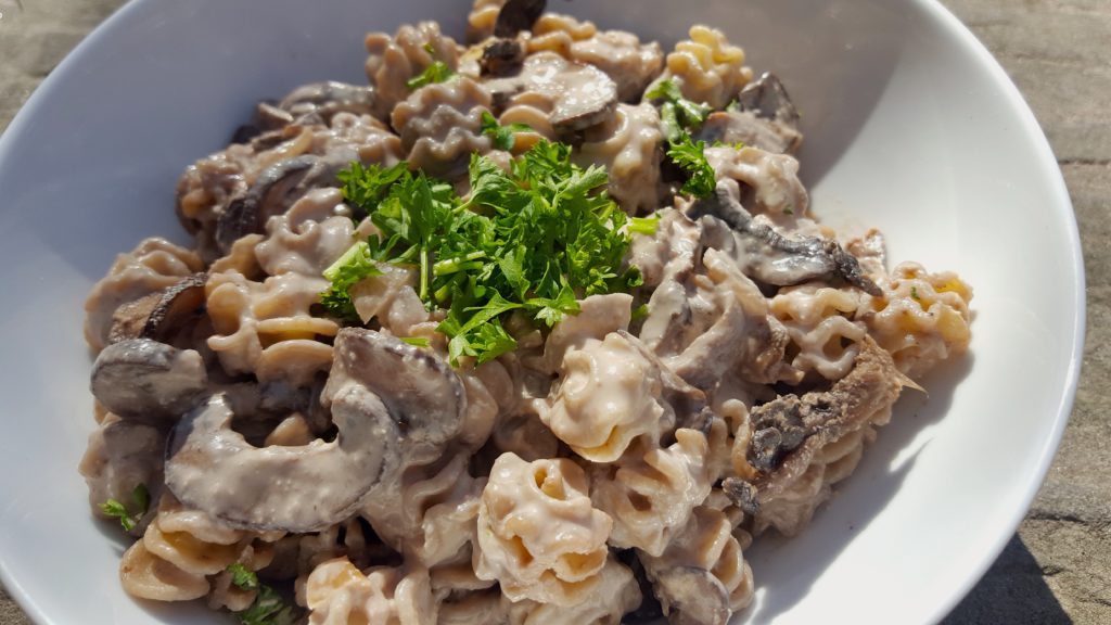 Vegan Mushroom Stroganoff