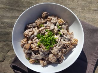 Vegan Mushroom Stroganoff