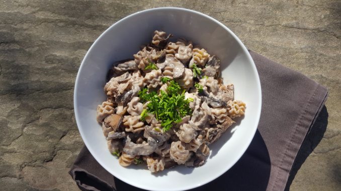 Vegan Mushroom Stroganoff